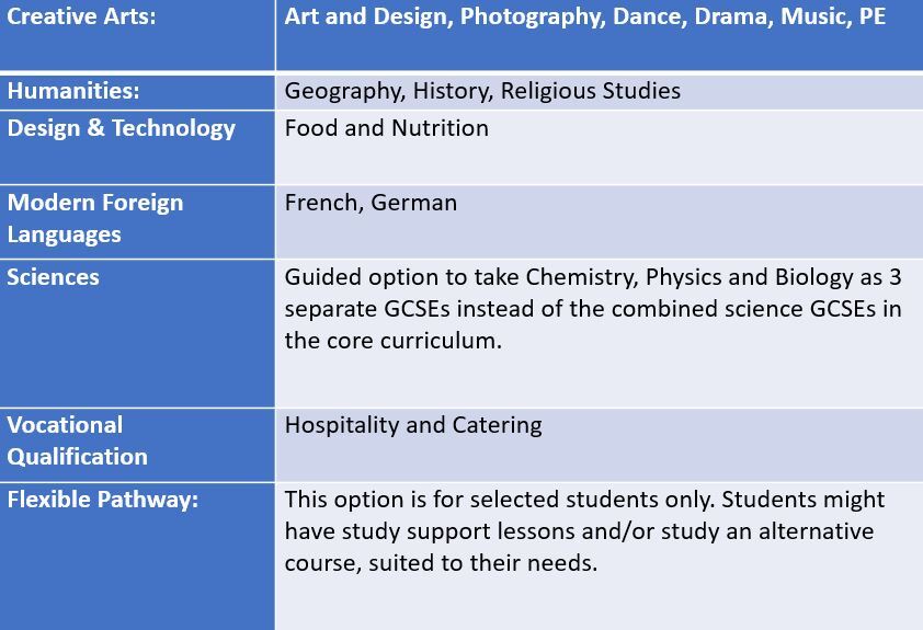 GCSE options